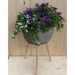 Rieten plantenbak grijs op poten met zomerbloeiers paars/blauw h55 cm