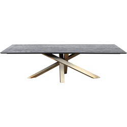 PTMD Alore brown gold diningtable rectangle 240 cm