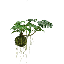 Hoyz Greenery - Kunst hangplant Monstera Deluxe 60 cm