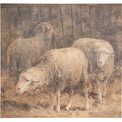 Clayre & Eef Schilderij  50x3x50 cm Bruin Canvas Schaap