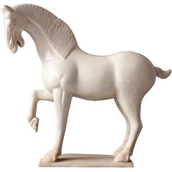 Fine Asianliving Chinese Horse Tang Dynasty Terracotta Pottery White