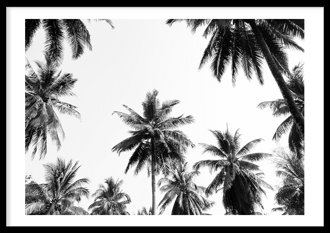 Underneath the palm trees (21x29,7cm) - 