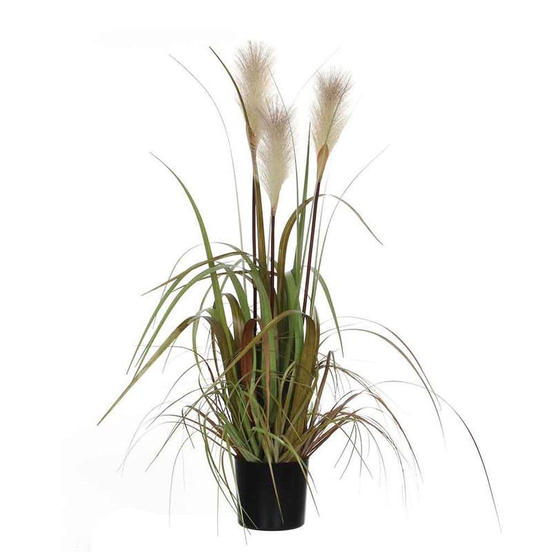 Mica Decorations pluimgras foxtail wit in pot maat in cm: 81 x 45 - 