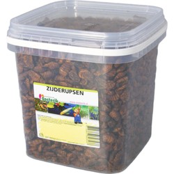 Seidenraupen 10 mm 2,5 Liter Futter - Suren Collection