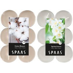 Candles by Spaas geurkaarsen - 24x stuks in 2 geuren Jasmin en Cotton Blossom - geurkaarsen