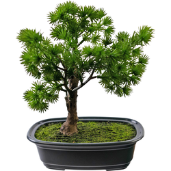 Hoyz Greenery - Kunstplant Bonsai Juniper 20 cm