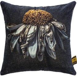 PTMD Hava Black cotton velvet cushion daisy flower S