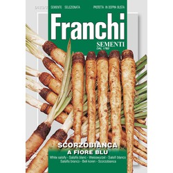 Haver Wortel scorzobianca 123/2 - Franchi