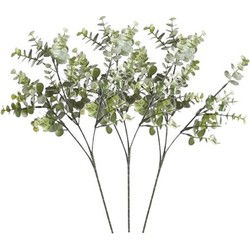 Kunstbloem/kunsttak Eucalyptus Cinera - 3x - 65 cm - Kunstbloemen