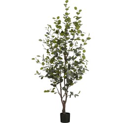 Mica Decorations Kunstplant Eucalyptusboom in Pot - H180 x Ø80 cm - Groen