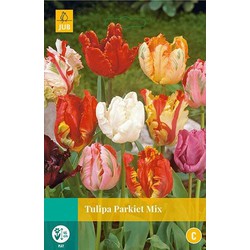 3 stuks - Tulipa Parkiet mix 5 bollen