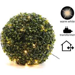 LED netverlichting buxus buit/dia80cm-120L/groen/warm wit