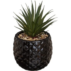 Kunstplant in Zwarte Ananas Pot – H21 cm