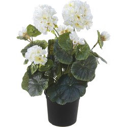 Louis maes Kunstplant - Geranium - wit - in zwarte pot - 35 cm - Kunstplanten