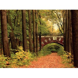 Brug in bos 70x50cm Tuinschilderij - Customize-it