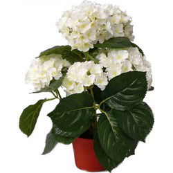 Topart kunstplant met bloemen - Hortensia - wit - H36 cm - Dia 10 cm - Kunstplanten