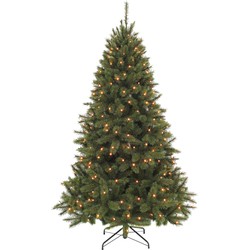 Triumph Tree Bristlecone Kunstkerstboom met LED Verlichting - H185 x Ø119 cm - Donkergroen