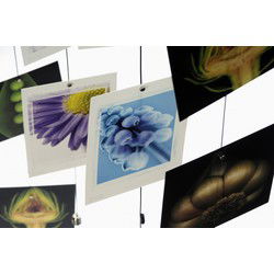 Trendform Steely Dan 200 cm - fotokoord met 15 magneten