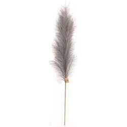 Pampas Gras 60 cm Donker grijs kunstplant