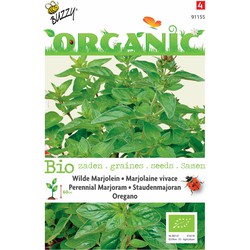 5 stuks - Organic Marjolein - Oregano (Skal 14725) Tuinplus - Buzzy
