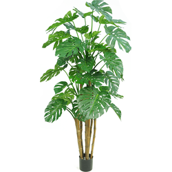 Hoyz Greenery - Kunstplant Monstera 210 cm