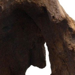 Mopani wood 20kg x-small aquadistri