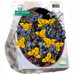 2 stuks - Iris Reticulata Mix per 50