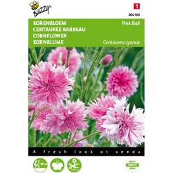 5 stuks - Centaurea cyanus Pink Ball Tuinplus