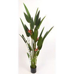 Strelitzie 180 cm kunstplant Oosterik Home