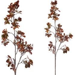 PTMD Berry Kunstplant - 49 x 33 x 89 cm  - Kunststof - Rood