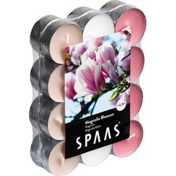 Spaas waxinelichtjes - 24x - Magnolia Blossom - 4,5 branduren - geurkaarsen