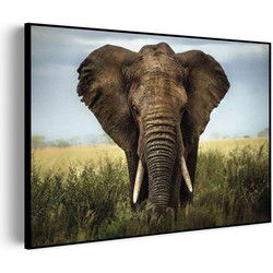Muurwerken Akoestisch Schilderij - Olifant - Geluidsdempend Wandpaneel - Wanddecoratie - Geluidsisolatie - BASIC (AW 0.65) XXL (150x107)