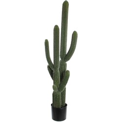Mica Decorations cactus in plastic pot maat in cm: 145 x 55