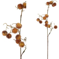 Thistle Plant - 15.5 x 33.0 x 73.5 cm