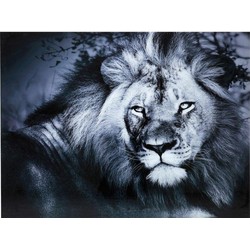 Kare Wandfoto Glass Lion King Lying 120x160cm