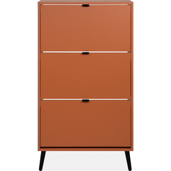 Schoenenkast met 3 kleppen en 2 vakken per klep, 70 cm  VIGO