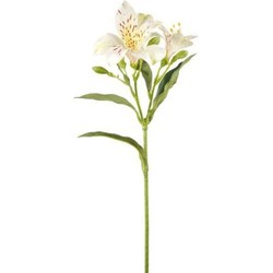 Wit met gele kunst alstroemeria stengel H44