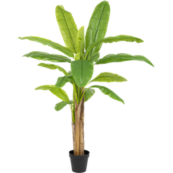 Hoyz Greenery - Kunstplant Bananenboom 200 cm