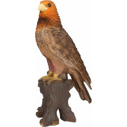Tuin/huis beeldje Adelaar/Arend roofvogel 40 cm - Beeldjes