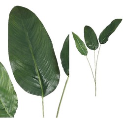 PTMD Leaves Plant Paradijsvogel Blad Kunsttak - 97x38x138 cm - Groen