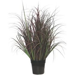 Kunst Grasplant Wild Lawn 70 cm | NeverLeafs