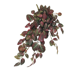 Hoyz Greenery - Kunst hangplant Fittonia Rood wit 70cm