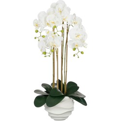 Mica Decorations Kunstplant Phalaenopsis - 40x34x82 cm - Polyester - Wit