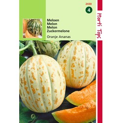 2 stuks - Meloenen Oranje Ananas - Hortitops