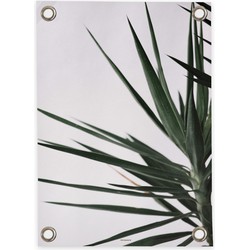 Tuinposter Palm (50x70cm)