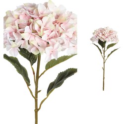 PTMD Hydrangea Flower Hortensia Prikker - 41 x 34 x 111 cm - Roze