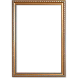 Klassieke Lijst 60x70 cm Goud - Sia