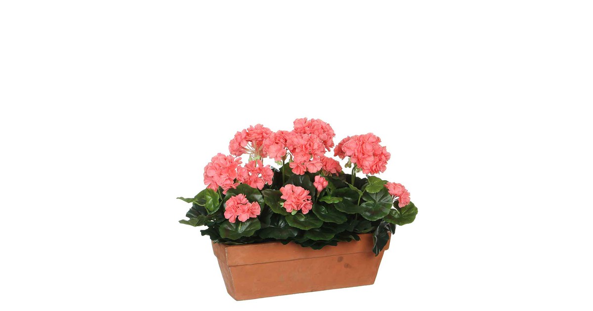 Mica Decorations geranium zalm in balkonbak terra maat in cm: 39 x 13 x 40 - ROZE