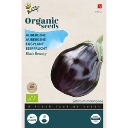 Organic Aubergine Black Beauty (BIO)