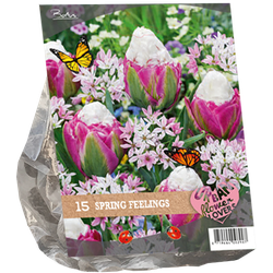 Urban Flowers Spring Feelings per 15 bloembollen